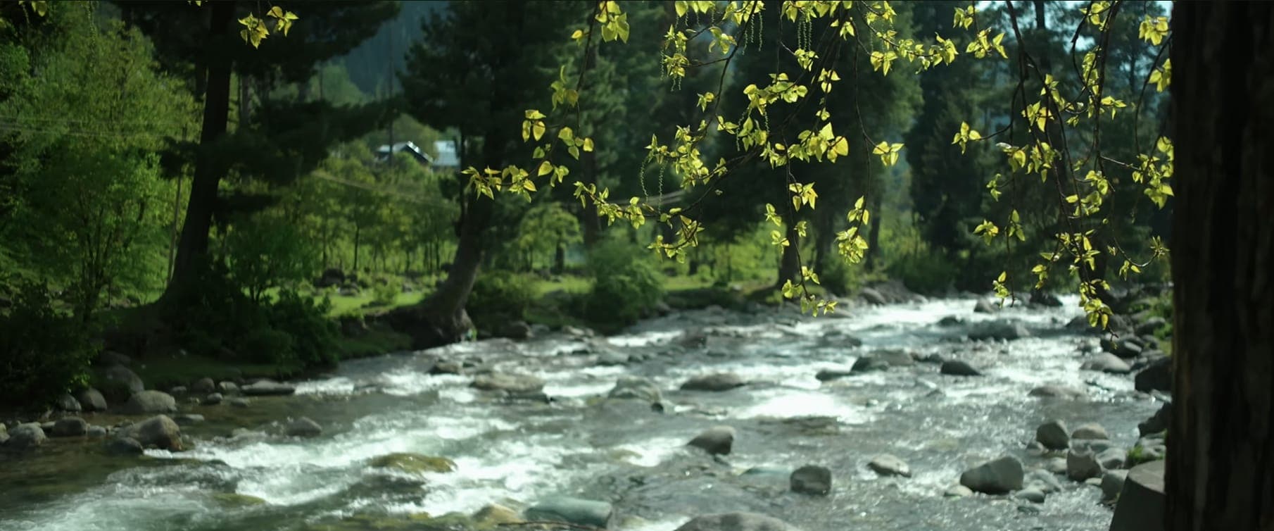 Daksum, Kashmir