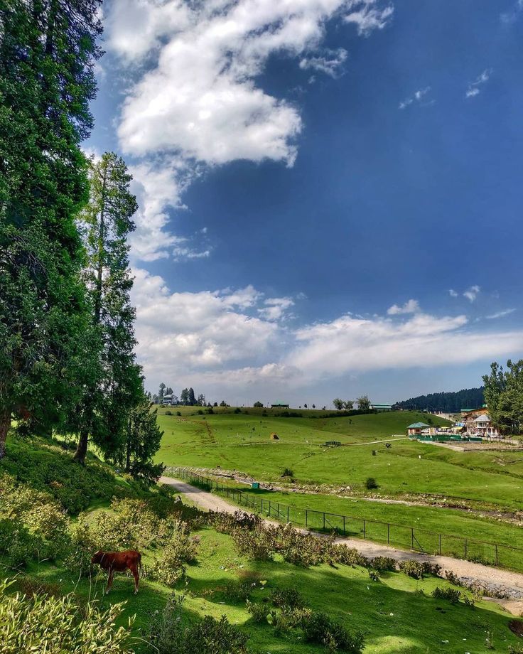 Yusmarg meadows and mountains